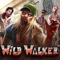 Main Slot Wild Walker